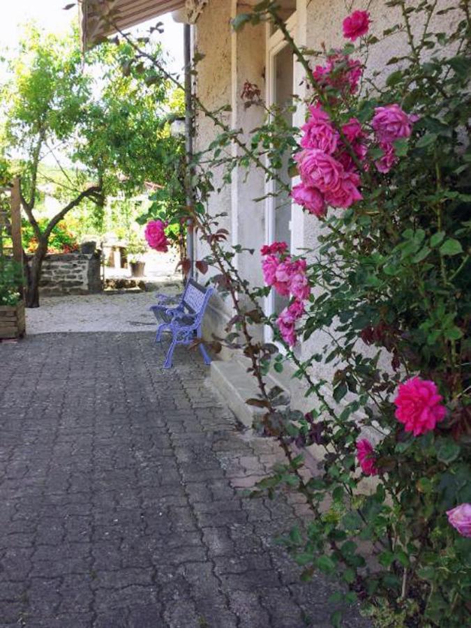La Providence, Chambres D'Hotes Saint-Sernin-du-Plain Ngoại thất bức ảnh